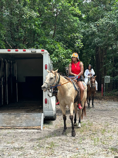 Harmony Horse Riding of South Beach, Miami