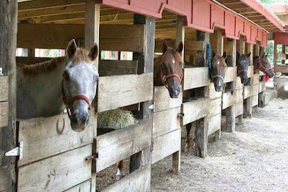 Newmark Horse Country Land & Stables, Miami