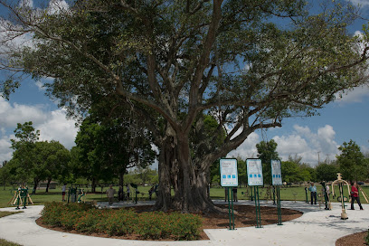TROPICAL PARK, Miami
