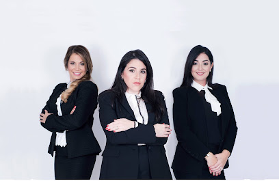 Castellon Laurent & Schlesinger, LLC., Miami