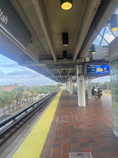 Allapattah, Miami