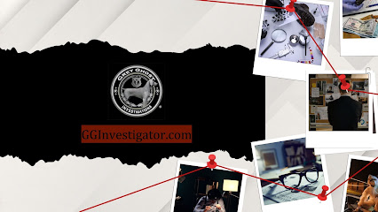 Grey Ghost - Private Investigator Miami