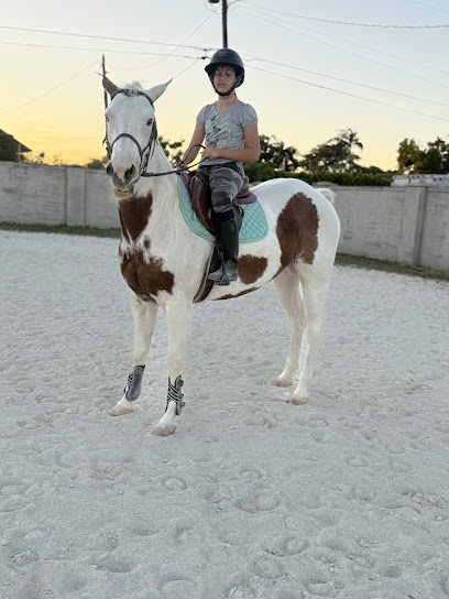 AHG Equestrian Bless, Miami