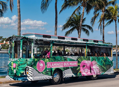 Flamingo Bus Miami Tours