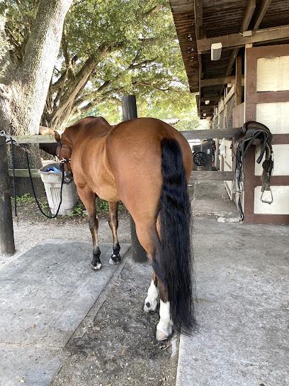 The Stables at Horse Country, Miami