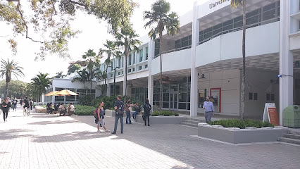 University of Miami Office Of Undergraduate Admission
