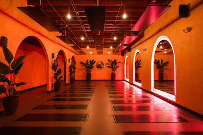 Wild Thing, Miami