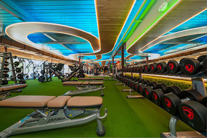 Gymage Miami